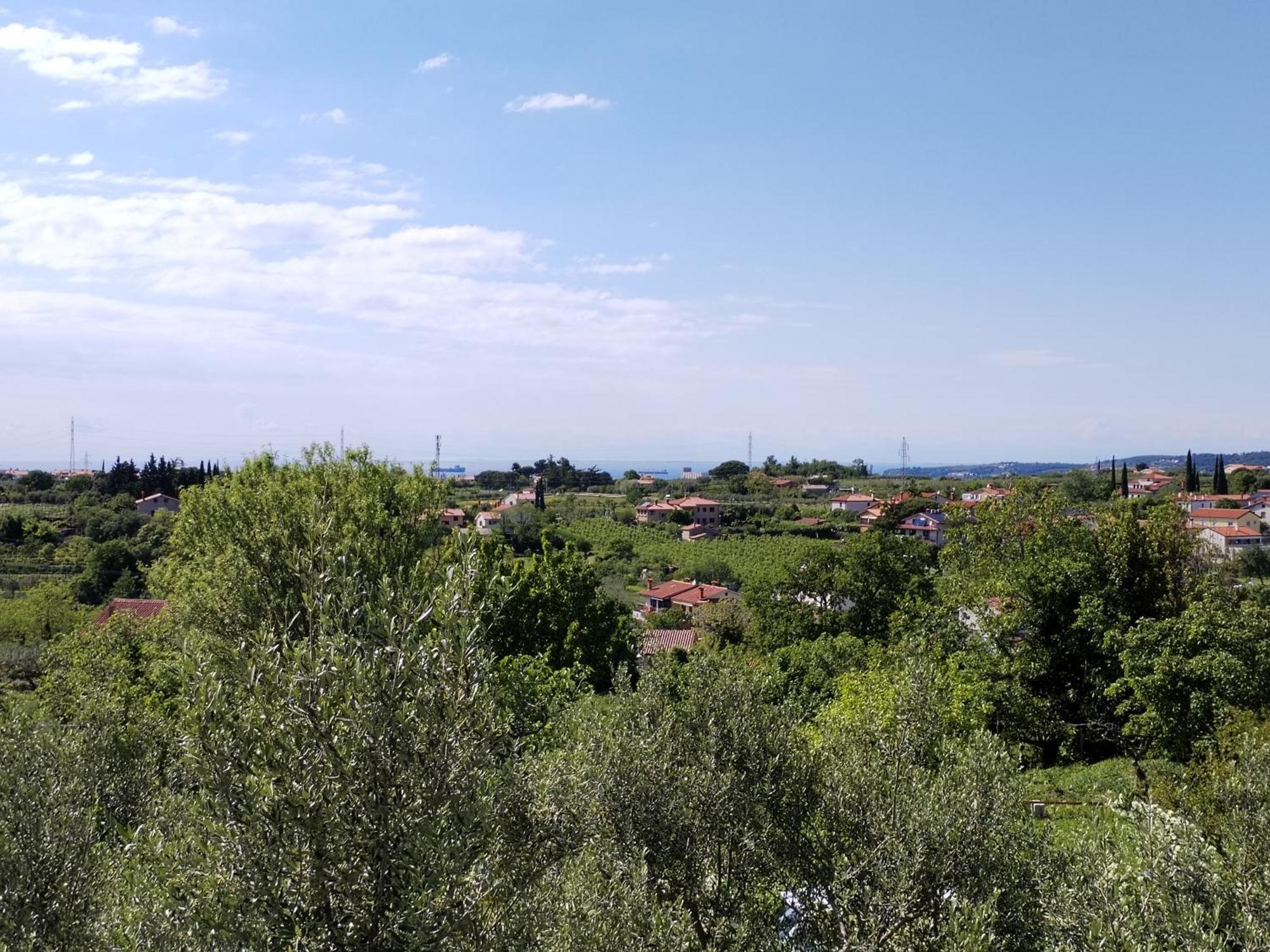 Apartma Zora Apartment *